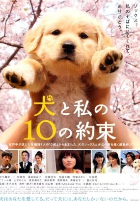 10 Promises to My Dog                10 ข้อสัญญาน้องหมาของฉัน                2008