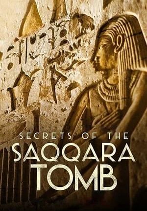 Secrets of the Saqqara Tomb                ไขความลับสุสานซัคคารา                2020